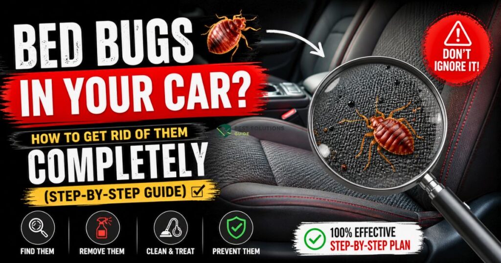 Bed Bugs in Your Car_ How to Get Rid of Them Completely