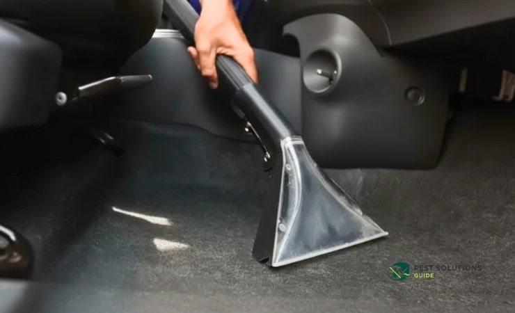 Vacuum Every Crevice Thoroughly