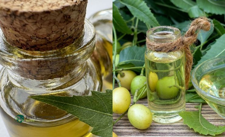 Grab These Supplies Before You Start Mixing
