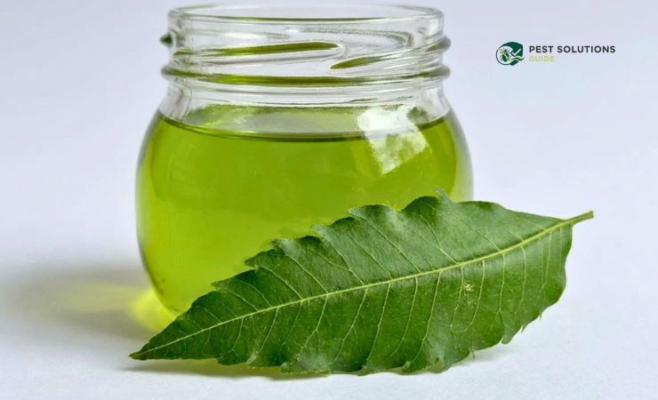 How Neem Oil Actually Kills Pests at Every Stage