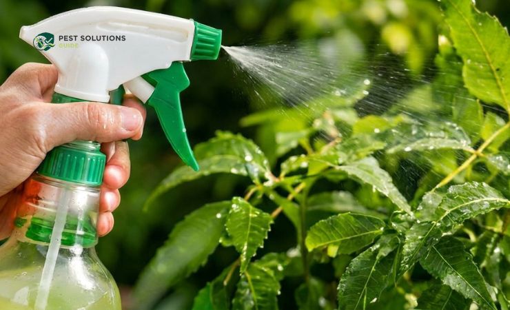 Spray Every Leaf Top and Bottom