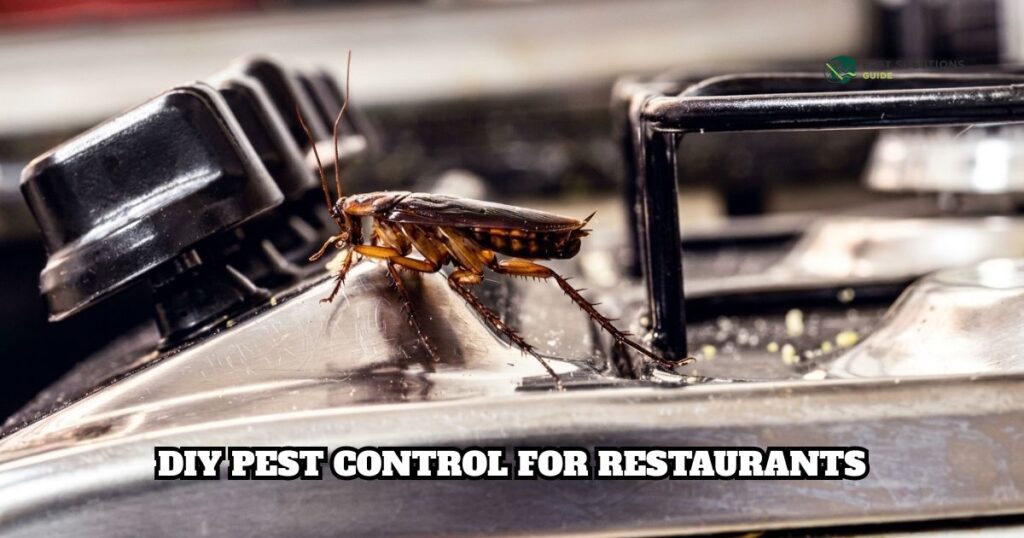 DIY Pest Control for Restaurants